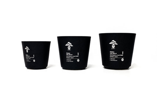 Straight Wall Planter - Medium