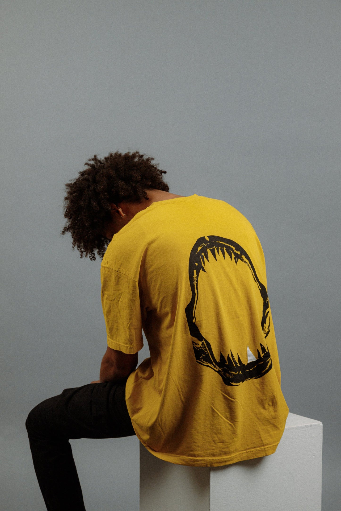 GOLD JAWS T