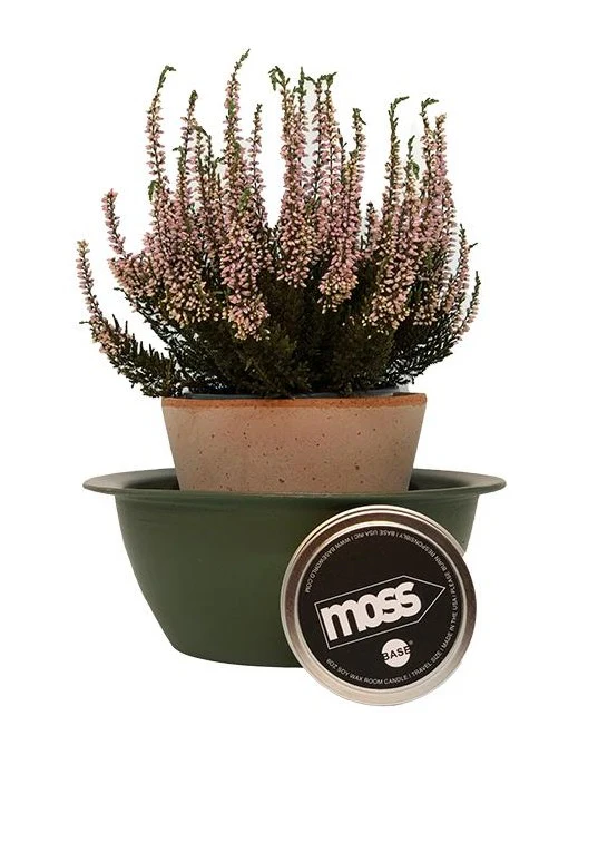 MOSS 6oz Room Candle