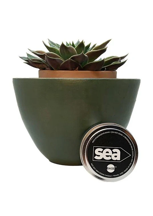 SEA 6oz Room Candle