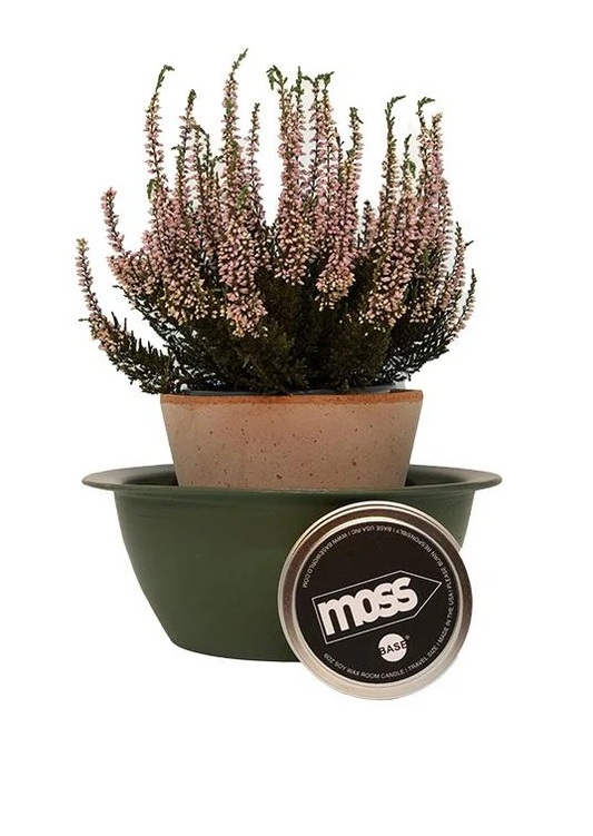 MOSS 6oz Room Candle