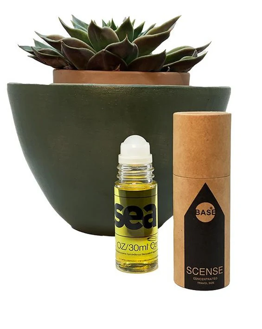 SEA 1oz Roll-On