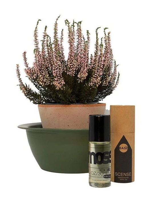 MOSS 1oz Roll-On